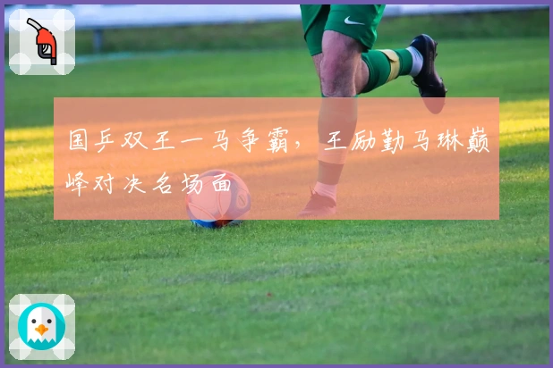 国乒双王一马争霸，王励勤马琳巅峰对决名场面