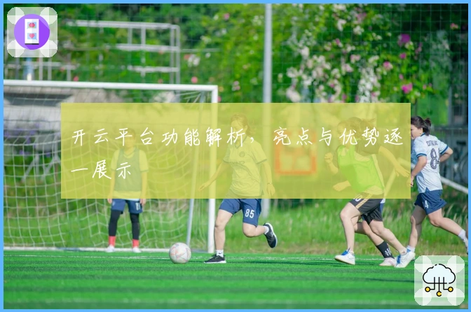 开云平台功能解析，亮点与优势逐一展示