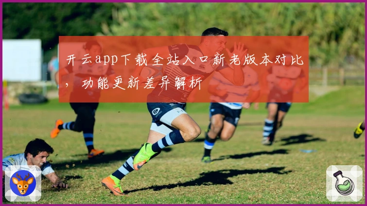 开云app下载全站入口新老版本对比，功能更新差异解析