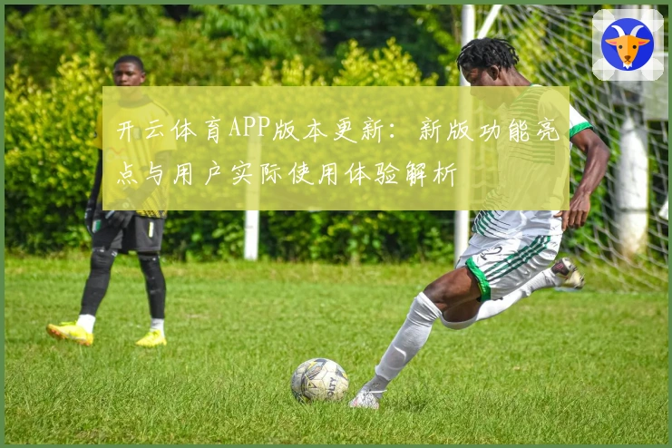 开云体育APP版本更新：新版功能亮点与用户实际使用体验解析