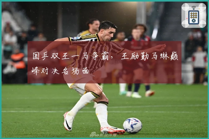 国乒双王一马争霸，王励勤马琳巅峰对决名场面